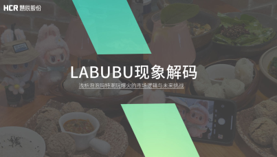 Labubu现象解码：浅析泡泡玛特潮玩爆火的市场逻辑与未来挑战  