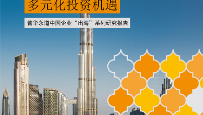2025中国企业出海系列研究报告：阿联酋经济转型带来多元化投资机遇  