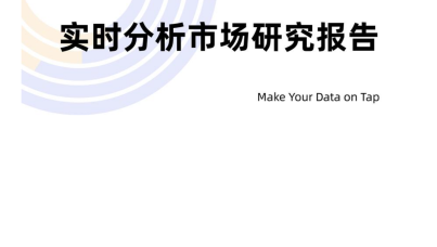 2025年实时分析市场研究报告  