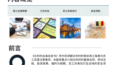 2025年比利时出海白皮书  
