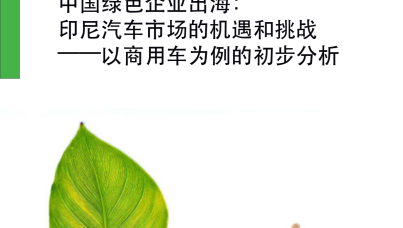 中国绿色企业出海：印尼汽车市场机遇与挑战  