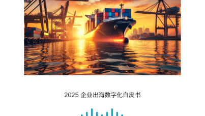 2025企业出海数字化白皮书  