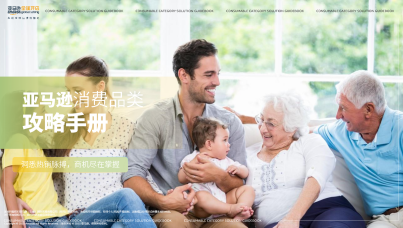 2025亚马逊消费品类攻略手册  