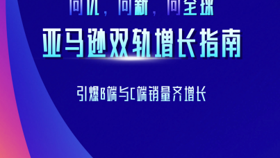 亚马逊双轨增长指南  